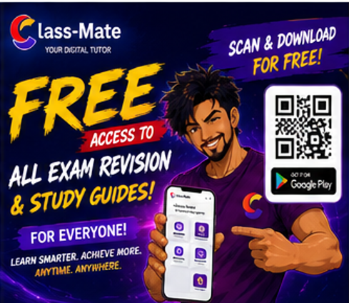 ClassMate digital tutor character